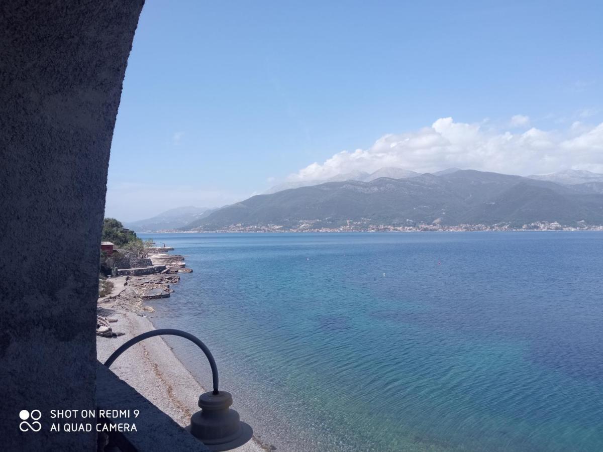 Apartments Petrovic Tivat Dış mekan fotoğraf